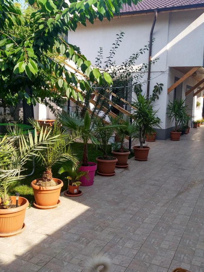 Vila Alexandra Apartman Észak-Eforie Kültér fotó